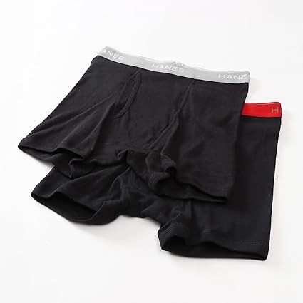 [ヘインズ] ボクサーパンツ(2枚組) 抗菌 除菌 清潔 防臭効果 前開き ボクサーブリーフ HM6EG701 メンズ