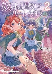 奴隷を調教してハーレム作る(1) Kindle版