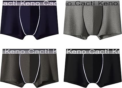 [Tersila] ボクサーパンツ メンズ 4枚 セット コトン 抗菌 除菌 清潔 防臭効果 前閉じ 男性 ボクサー パンツ ボクサーブリーフ パンツ メンズ 下着
